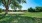 Basketball Court